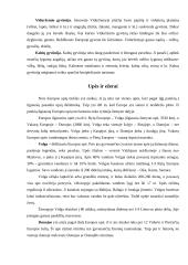 Europos žemynas 8 puslapis