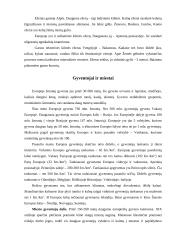 Europos žemynas 10 puslapis