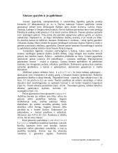 Gintaras Narvos kultūroje: apdirbimas ir prekyba 7 puslapis