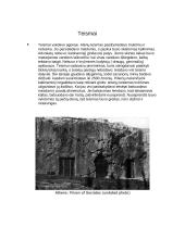 Graikų pasaulis. Įdomybės 11 puslapis