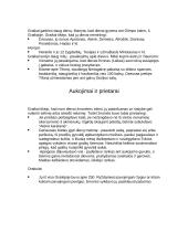 Graikų pasaulis. Įdomybės 5 puslapis