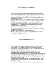 Graikų pasaulis. Įdomybės 9 puslapis