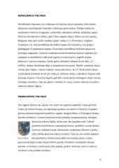 Heraldika ir herbų rūšys 8 puslapis