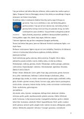 Heraldika ir herbų rūšys 9 puslapis