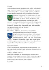 Heraldika ir herbų rūšys 10 puslapis