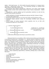 Hiperglikemijos 4 puslapis