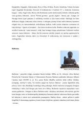 Trumpai apie Indijos Respubliką 9 puslapis
