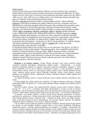 Indijos Respublika su nuotraukomis 2 puslapis