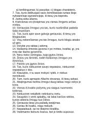 Islamas, religija 12 puslapis