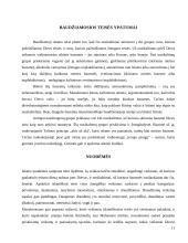 Kas yra islamo religija? 11 puslapis