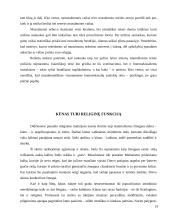 Kas yra islamo religija? 19 puslapis