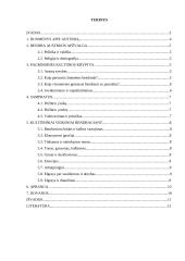 Tarpkultūriniai bendravimo ypatumai Austrijoje