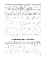 Islamo tradicijos 18 puslapis