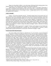 Islamo tradicijos 4 puslapis