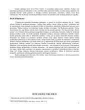 Islamo tradicijos 5 puslapis