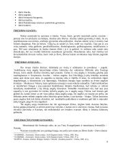 Islamo tradicijos 6 puslapis