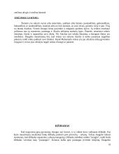 Islamo tradicijos 8 puslapis