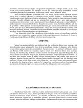 Islamo tradicijos 9 puslapis