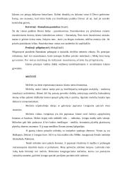 Islamas (Koranas, kultūra) 6 puslapis