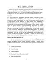 Islamas - poligamija, moterys bei kiauliena 2 puslapis