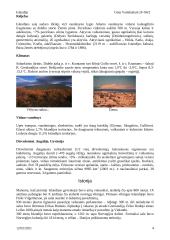 Islandijos geografija 4 puslapis