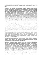 Japonijos šalis 11 puslapis