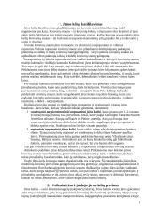 Jūros kelių supratimas ir klasifikavimas 3 puslapis