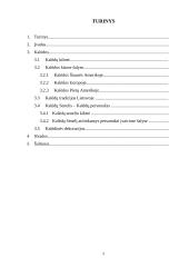 Kalėdos pasaulyje 2 puslapis