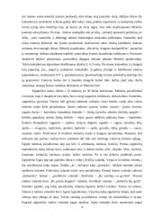 Kalendoriaus raida pasaulio kultūrose. Egiptiečių kalendorius 4 puslapis