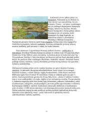 Kamanų rezervatas 3 puslapis
