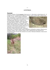 Kamanų rezervatas 6 puslapis