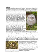 Kamanų rezervatas 7 puslapis