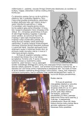 Kinija ir kinų tauta 2 puslapis