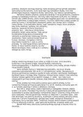 Kinija ir kinų tauta 3 puslapis