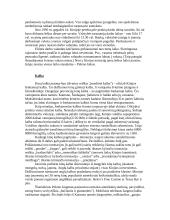 Kinijos revoliucija 8 puslapis