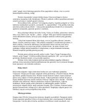 Kinijos revoliucija 9 puslapis