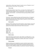 Kinijos revoliucija 10 puslapis