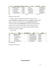 Kolegijos biuro technikos duomenų bazė 13 puslapis