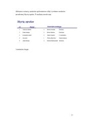 Kolegijos biuro technikos duomenų bazė 17 puslapis