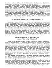 Krikščionimis tapusių žmonių asmenybės bruožai, savybės ir pomėgiai prieš atsivertimą ir po jo 8 puslapis