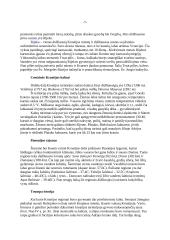 Kroatijos geografiniai faktai 7 puslapis