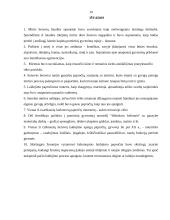 Laidotuvių papročiai 17 puslapis