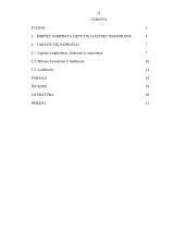 Laidotuvių papročiai 19 puslapis