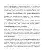 Laivybos uosto technologijų raida ir naujausios tendencijos 13 puslapis