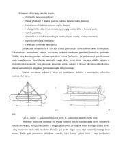 Laivybos uosto technologijų raida ir naujausios tendencijos 6 puslapis