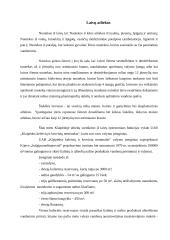 Laivų atliekos 5 puslapis