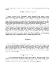 Faktai apie Lenkiją 4 puslapis