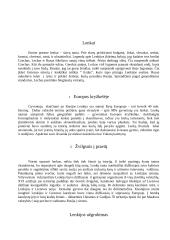 Faktai apie Lenkiją 5 puslapis