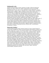 Lietuva ir jos kaimynės 6 puslapis