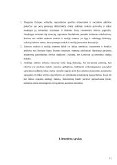 Lietuvos aukštojo mokslo reforma 11 puslapis